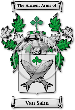 Van Salm Family Crest Download (jpg) Legacy Series - 150 DPI